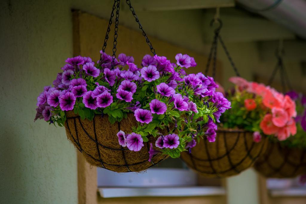 Guest House A'Storia Ruma Bagian luar foto